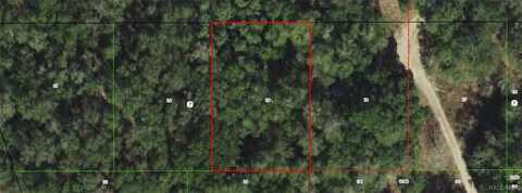 3011 Polk Street W, Inverness, FL 34453