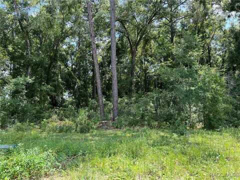 3535 S Oakdale Terrace, Inverness, FL 34452