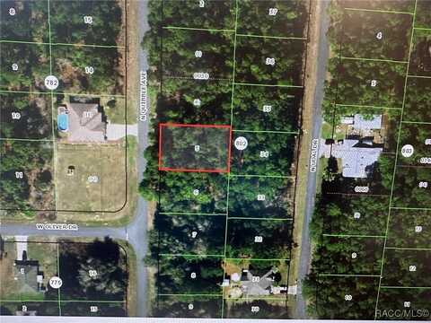 7687 N Quibble Avenue, Dunnellon, FL 34434