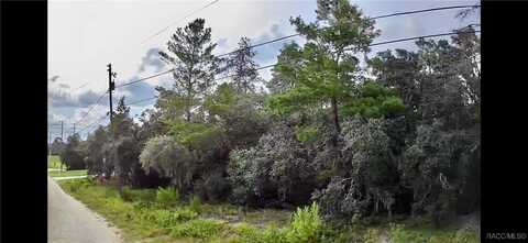 2912 Woodhill Street, Inverness, FL 34452