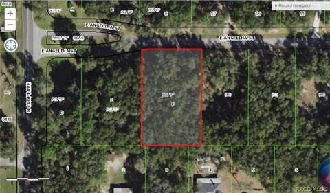 2962 E Angelina Street, Inverness, FL 34453