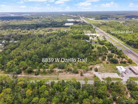 8839 W Ozello Trail, Crystal River, FL 34429