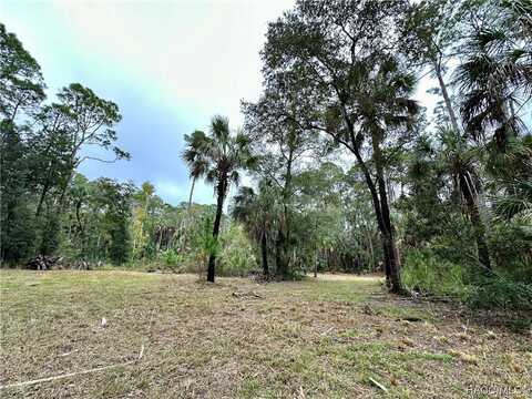 00 Highway 40 W, Yankeetown, FL 34498