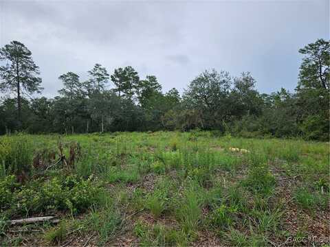 4208 W Vicksburg Drive, Citrus Springs, FL 34433