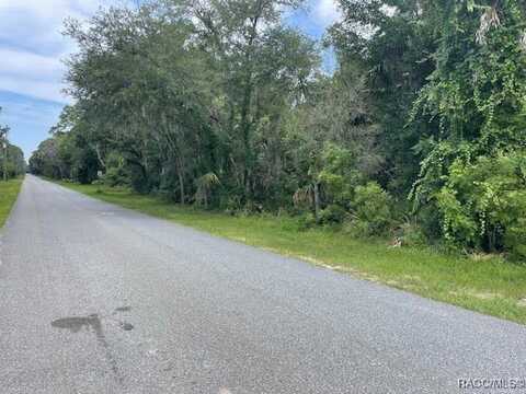 9553 W Deepwoods Drive, Crystal River, FL 34428