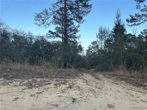 2706 Woodhill Street, Inverness, FL 34452