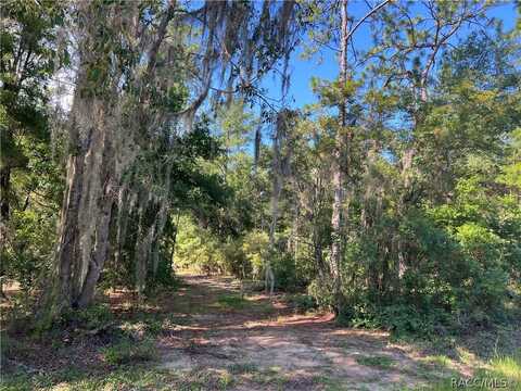 9614 N Dearing Loop, Dunnellon, FL 34434