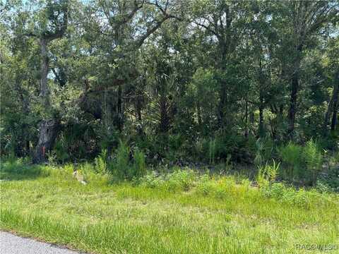 8108 N Shannon Avenue, Crystal River, FL 34428