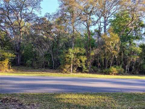 421 W Chase Street, Hernando, FL 34442