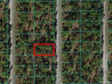 0000 NW Tree Top Unit #007 Road, Dunnellon, FL 34431