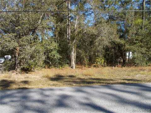 1401 E BISMARK Street, Hernando, FL 34442