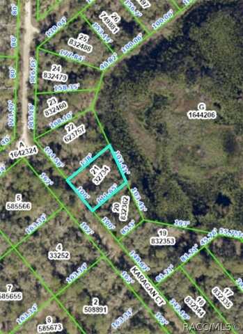 0 Karagan Court, Webster, FL 33597