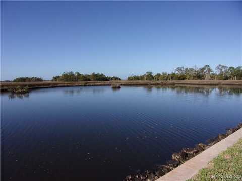 11562 W Bayshore Drive, Crystal River, FL 34429