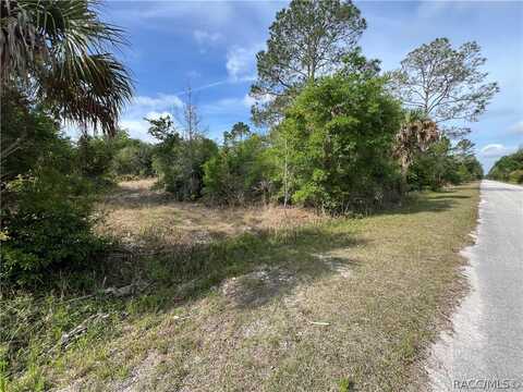 12036 W Flaxen Drive, Crystal River, FL 34428