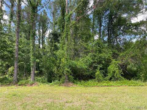 3191 N Chandler Drive, Hernando, FL 34442