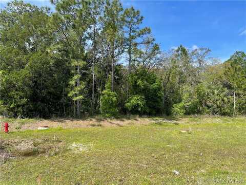 4584 S Suncoast Boulevard, Homosassa, FL 34446