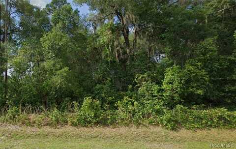 2828 E Chartwell Circle, Hernando, FL 34442