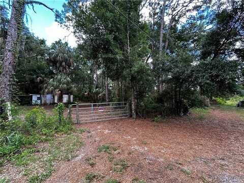 419 N Florene Point, Crystal River, FL 34429