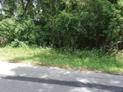 4979 S Romans Avenue, Inverness, FL 34452