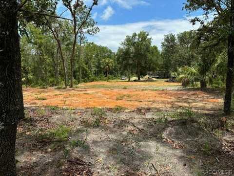 3134 N Holiday Drive, Crystal River, FL 34428