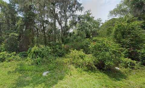 4924 S Atwood Terrace, Inverness, FL 34452