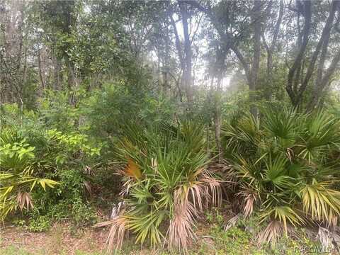 8488 N Ironwood Terrace, Crystal River, FL 34428