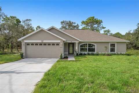 9860 N Sandree Drive, Citrus Springs, FL 34434