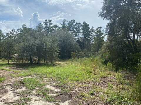 5739 S Calder Point, Homosassa, FL 34446