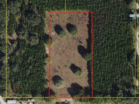 00 CR 489, Lake Panasoffkee, FL 33538