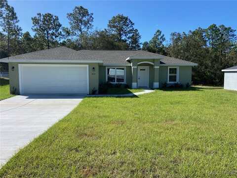 8832 N Paradisea Drive, Dunnellon, FL 34433