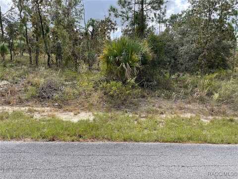 Lot 10 SW Anchor Boulevard, Dunnellon, FL 34431