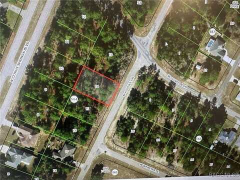 9048 N Athens Drive, Citrus Springs, FL 34433