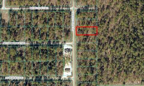 0000 NW Buena Vista #003 Road, Dunnellon, FL 34431