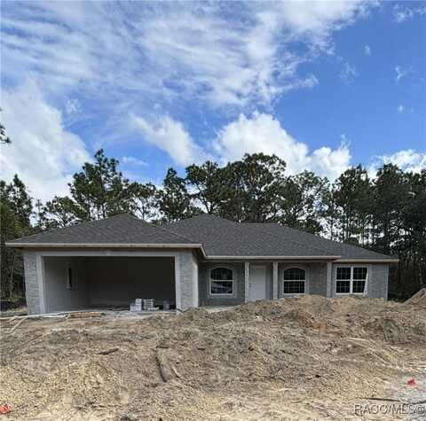 8767 N Raidin Drive, Dunnellon, FL 34433