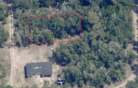 610 Dalwood Avenue, Inverness, FL 34453