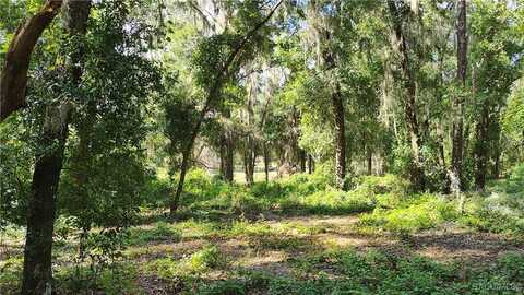 8600 E Lake Bradley Road, Floral City, FL 34436