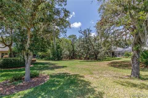 3767 N Baltusrol Path, Lecanto, FL 34461