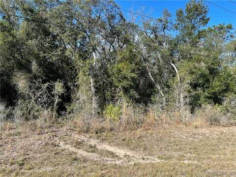 1510 S Rock Crusher Road, Homosassa, FL 34448