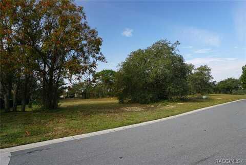 2598 N Troon Path, Lecanto, FL 34461