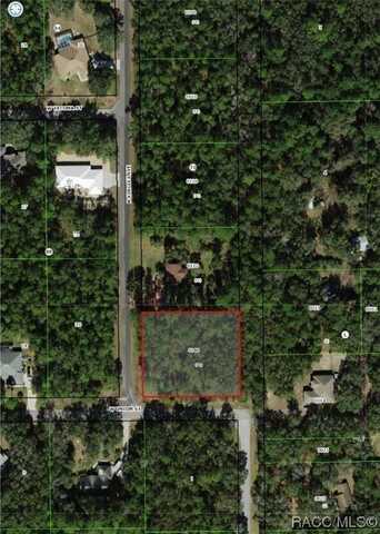 159 N Kinglet Avenue, Hernando, FL 34442