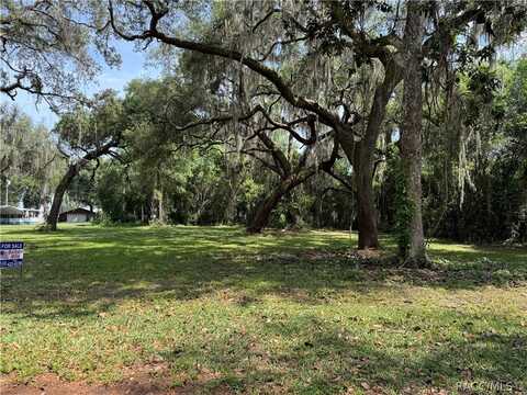 1106 N Tan Terrace, Inverness, FL 34453