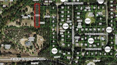 796 W Lightwood Street, Dunnellon, FL 34434