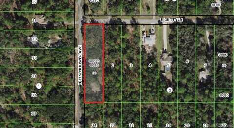 3541 E Getty Lane, Hernando, FL 34442