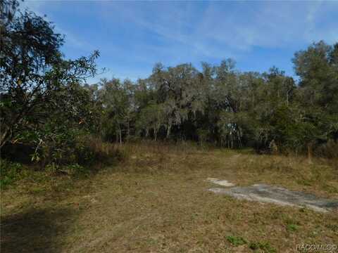 7195 N Florida Avenue, Holder, FL 34445