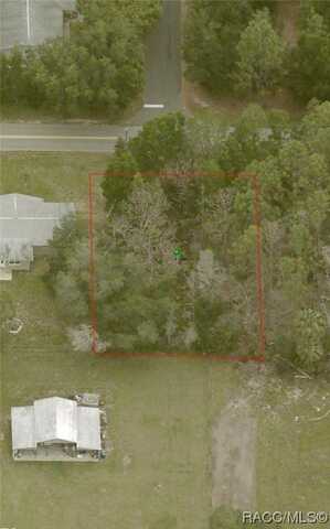 8534 W Basilico Street, Crystal River, FL 34428