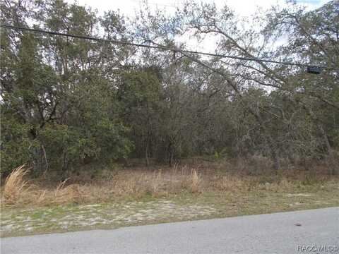 979 W PEARSON Street, Hernando, FL 34442