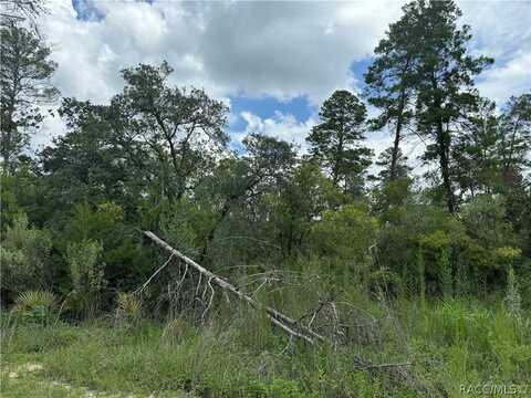 0 W Disney Lane, Dunnellon, FL 34433