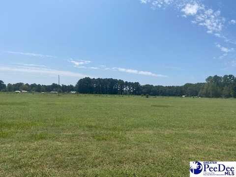 TBD Lot 45 Southern Drive, Latta, SC 29565