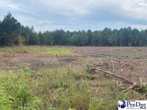 Lot 1-A Daniels Lane, Bennettsville, SC 29512