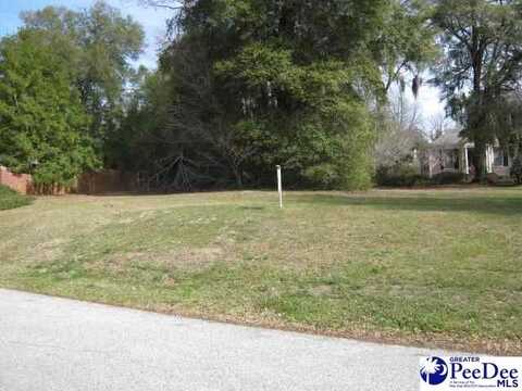 Lot 2 Evangeline Drive, Darlington, SC 29532